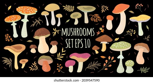A set of various painted mushrooms. Vector illustration, poster, postcard.