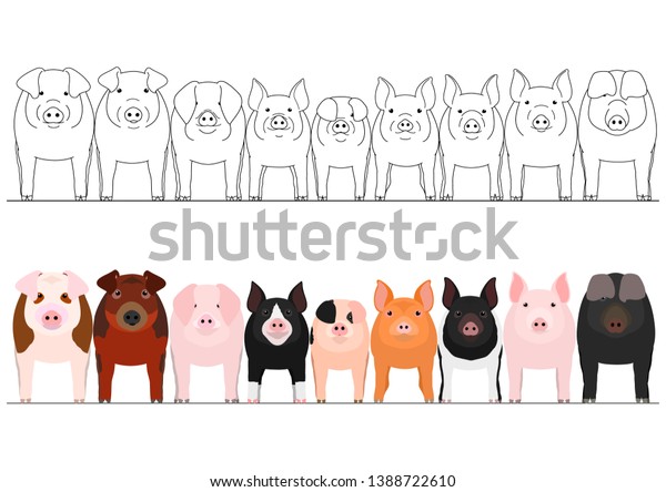 Set Various Pigs Border Stock Vector (Royalty Free) 1388722610 ...