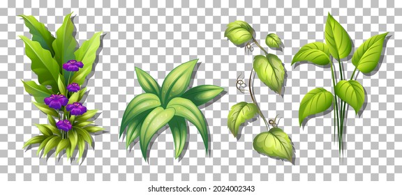 Set of various plants on transparent background illustration