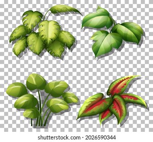 Set of various plants on transparent background illustration