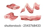 Set of various pork bacon strips. Hand drawn flat vector isolated elements on white background