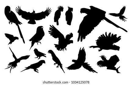 Set of Various Pose Parrot Silhouette vector illustration