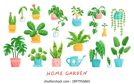 Set Of Various Potted Plants In Modern Cartoon Style. Vector Illustration Of A Home Garden Concept For Plant Lovers. Includes Cacti, Monstera, Pilea, Snake Plant, Etc.