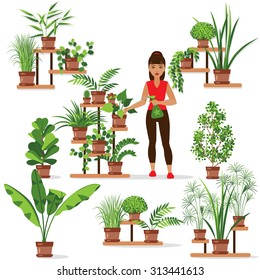 Set of various of  potted plants on the shelves and stands. Girl is caring for houseplants. 