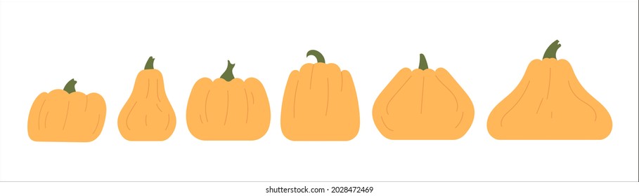 Set of Various Pumpkin shape on white background. Vector Illustration.