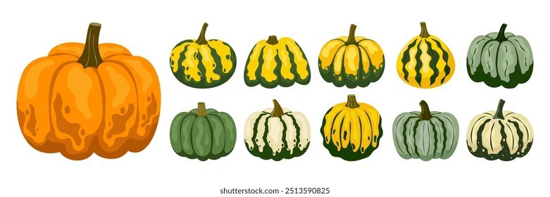 Conjunto de varias Ilustraciones vectoriales de calabaza en estilo funky groovy de dibujos animados. Colección de diferentes calabazas de Formas. Cosecha de otoño de calabaza plana de color lindo, otoño