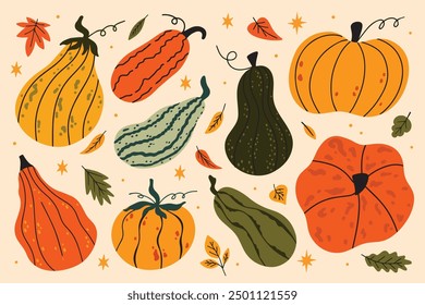 Set of various pumpkins vector illustration in cartoon groovy funky style. Collection of different shapes gourds. Cute colored, flat pumpkin hand drawn autumn harvest, fall, seasonal graphic elements