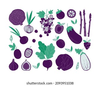 Set of various purple vegetables and fruits in flat style. Violet vegetable products. Vector illustration with cabbage, plum, onion, eggplant, and other plant food