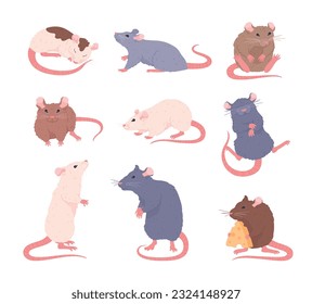 Set of various rats, cartoon flat vector illustration isolated on white background. Cute mouse eating cheese, walking and sleeping. Rodent animals drawing. House or domestic rat.