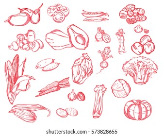 set of various red vegetables simple doodles hand drawing, isolated on white background