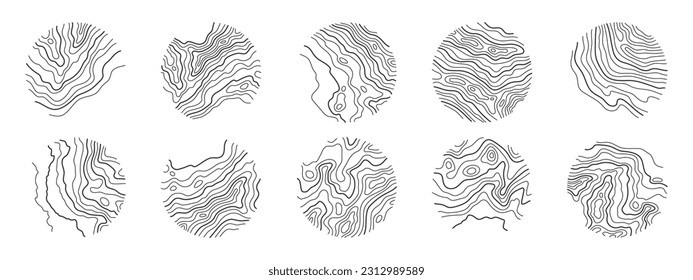 Set various rings of topographic line map. Wood rings, vector line circle of outdoor concept. Outline pattern for outdoor logo templates. Contours of tree, concepts for expedition logotype.