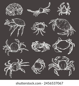 Set of various sea crabs on a black background.  Different types of crabs. Sea food, delicacy. Vector hand drawn illustration. Seamless pattern for decorating different surfaces.