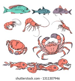 Set of various sea creatures icons. Hand drawing vector illustration of fish, crab and shrimp. Marine-themed  design elements. Linear icon isolated on white background.