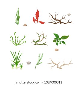Set of various sea plants. Plants for the aquarium. Vector image. in flat style