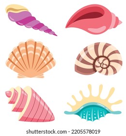 Set Of Various Sea Shells