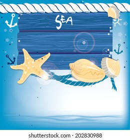 Set of various sea shells and starfish silhouettes