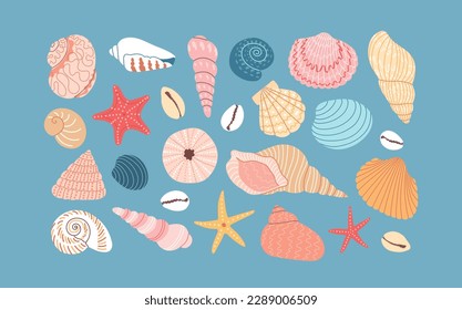Set of various sea shells and starfish on blue background. Hand drawn colorful vector illustration. Flat cartoon style. Summer vacation collection, tropical beach shells.