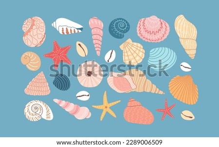 Set of various sea shells and starfish on blue background. Hand drawn colorful vector illustration. Flat cartoon style. Summer vacation collection, tropical beach shells. [[stock_photo]] © 