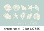 Set of various sea shells, starfishes and corals. Aquarium plants. Underwater reef and ocean plants flora vector illustration icons set	
