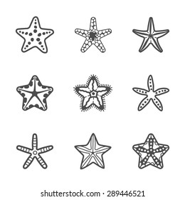 Set of various sea starfish. Vector illustration