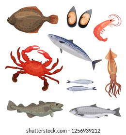 Set of various seafood. Fish, crab and mollusks. Marine animals. Sea creatures. Detailed flat vector icons