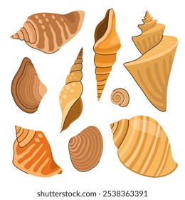 Conjunto de várias conchas do mar. Conchas marrons. Ilustração de vetor de desenhos animados.	