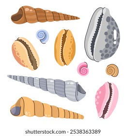 Set of various seashells. Shell collection. Cowry shells. Cartoon vector illustration.	