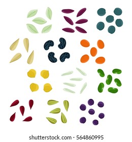 Set of various seeds - vector illustration