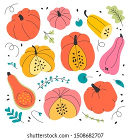 Set of various shape and color pumpkins made as collection of cute cartoon style hand drawn vector illustrations isolated on white background. Autumn symbol vegetable for halloween or thanksgiving.