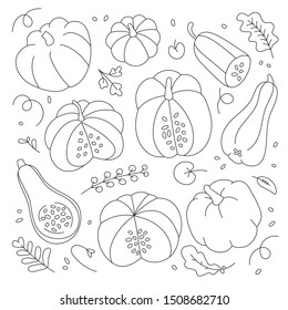 Set of various shape pumpkins with leave made as collection of linear cartoon style hand drawn vector illustrations isolated on white background. Autumn symbol vegetable for halloween or thanksgiving.