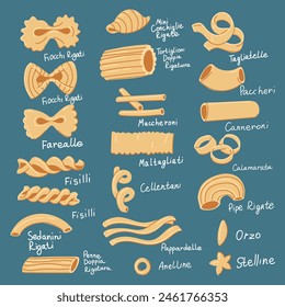 Set with various shapes of pasta with names. Collection of vector illustrations, suitable for the visual design of Italian cuisine. Design, culinary projects. Many types of single pasta in a row