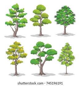 Set of Various Shapes of Trees.Forest Element Vector Illustration