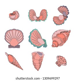 Set of various shell and mollusk icons. Hand drawing vector illustration of the sea creatures. Linear Ocean algae isolated on white background. Marine-themed abstract design elements.