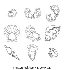 Set of various shell and mollusk icons. Hand drawing vector illustration of the sea creatures. Black linear Ocean algae isolated on white background. Marine-themed abstract design elements.