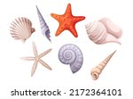 Set of various shells: spiral shell, clam, starfish. Beach illustration, marine concept