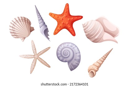 Set of various shells: spiral shell, clam, starfish. Beach illustration, marine concept