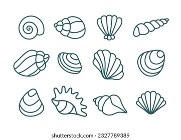 Conjunto de varias conchas. Ilustración lineal vectorial.