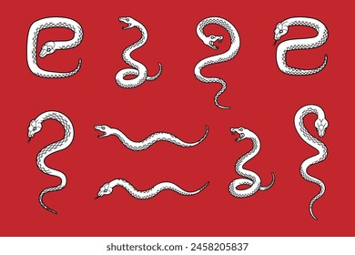 Set of various snake poses - 2025 Year of the Snake design element