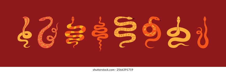 Set of various snakes. Vector flat illustration of mystical reptiles zodiac signs. Symbol of the year of the snake