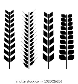 Set of various spikelets of wheat. Black silhouettes on a white background, vector illustration.
