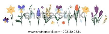 Similar – Image, Stock Photo crocuses flowers