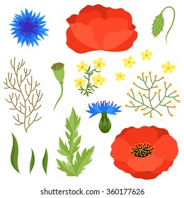 Set of various spring flowers, leaves. Elements for decoration and design.