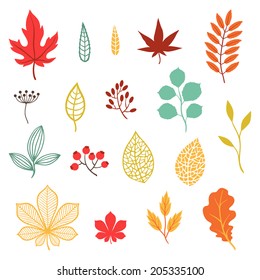 Set of various stylized autumn leaves and elements.