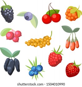 Set of various stylized ripe fresh berries. Berry collection