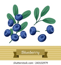 Set of various stylized ripe fresh blueberries.