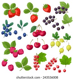 Set of various stylized ripe fresh berries.
