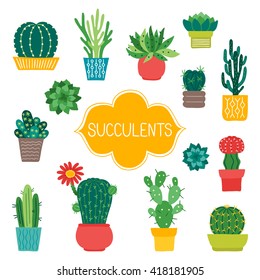Set of various succulents and cactus in pots. Perfect for stickers, design elements, flower shops, botanic books, greeting cards, Mexican decorations. Vector illustration.