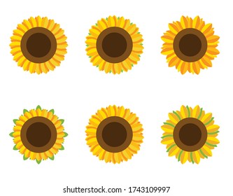 Montaje de varios girasoles. Flores florecientes de vectores.