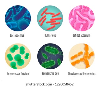 Set of Various Symbiotic Human Bacteria Realistic Vectors Isolated on White Background. Collection of Different Probiotic Microorganisms Colonies Illustrations. Human Intestinal Microflora Concept