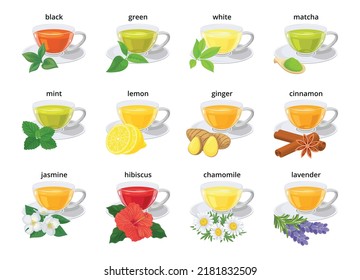 Set of various tea tipes in glass cup with ingredients, tea leaves. Black, green, white, matcha, herbal and flower, ginger, lemon, cinnamon tea. Isolated object, sign, simbol for menu, label, package